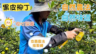 【柑願計畫】自然農法，一起保護我們最好的朋友