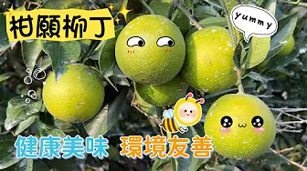 【柑願計畫】友善環境，健康美味